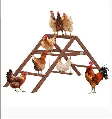 Wooden Chicken Perch